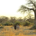 Stay at Kokoko Camp with family with kids in 2025 | East Africa Safari Guides