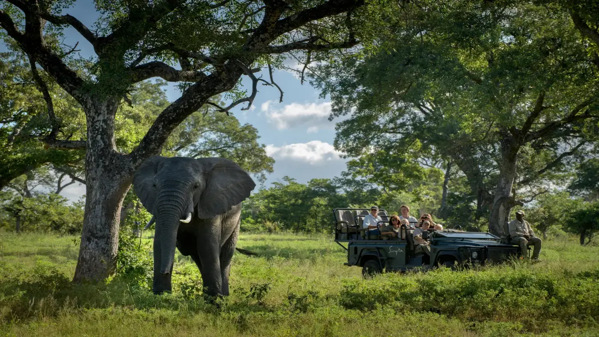 Best safari experience at Singita Castleton with East Africa Safari Guides