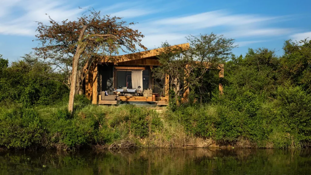 Luxury safari for honeymooners in Tanzania for 10 day 2025 or 2026