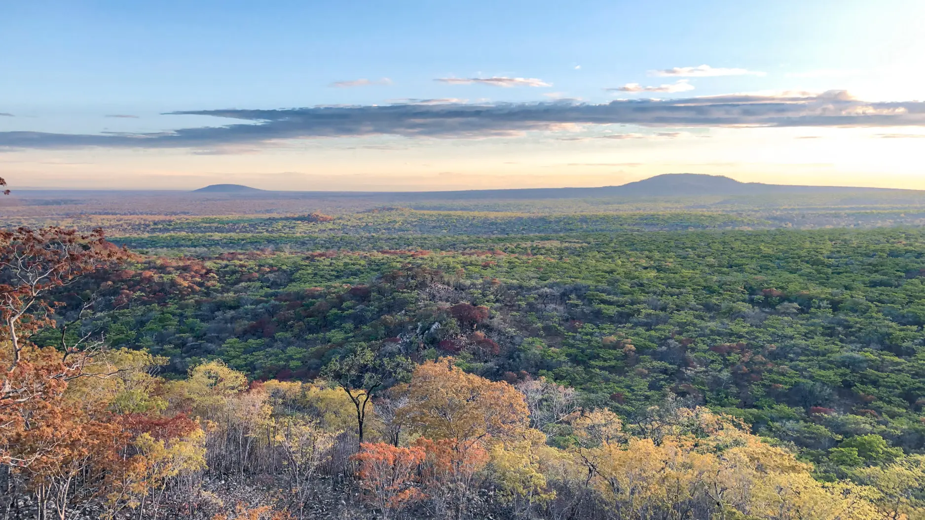 Southern Tanzania is the best place to go for honeymoon safari experience - Ruaha National Park landscape.