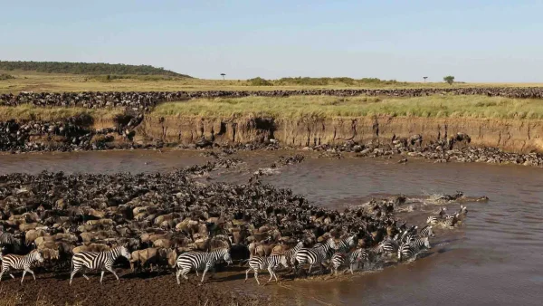 Wildebeest Migration Safari 2025-2026