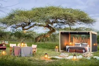 Couple on a romantic Tanzania honeymoon in the Serengeti