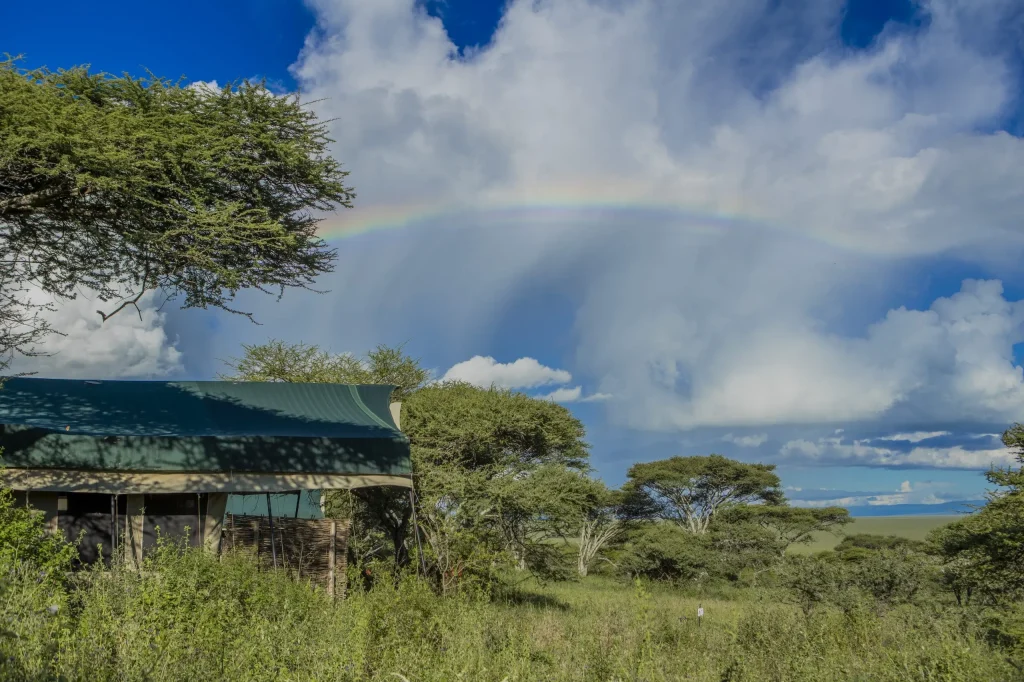 Serengeti Woodlands Camp one of the best camp to stay in Serengeti National Park.