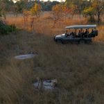 Women on an all-women safari Tanzania watching cheetahs from a private game drive vehicle