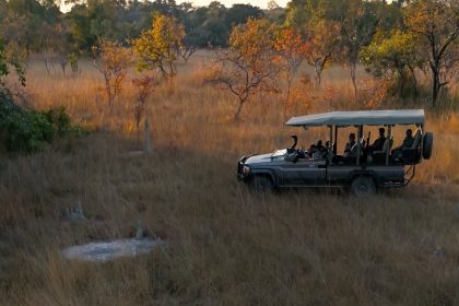 Women on an all-women safari Tanzania watching cheetahs from a private game drive vehicle