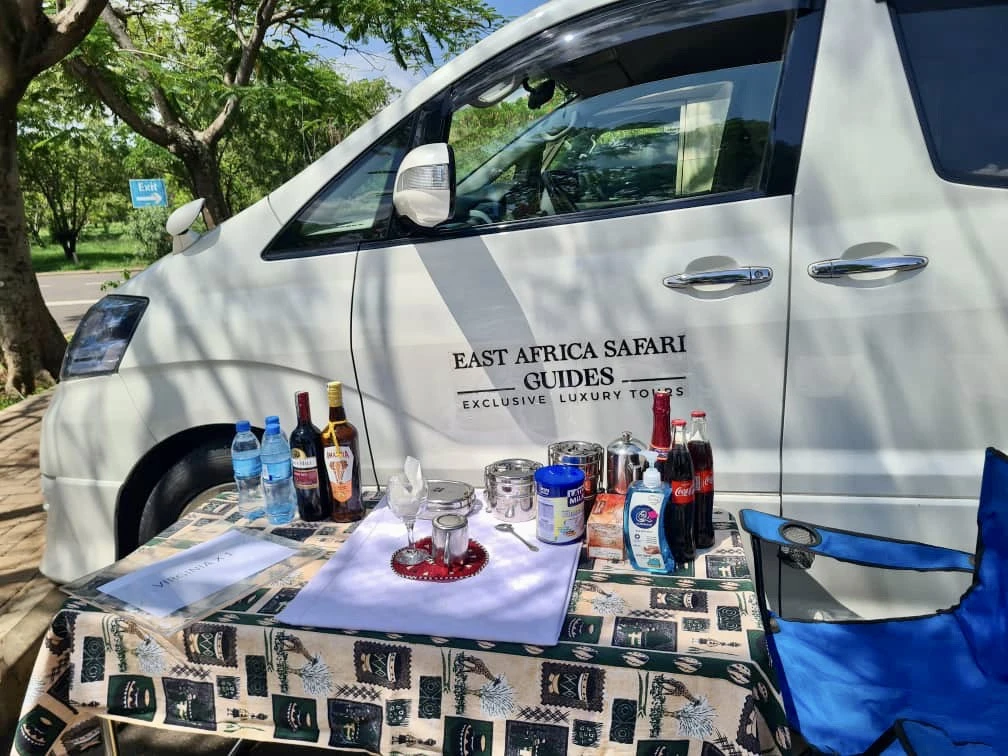 Private Airport Transfer | East Africa Safari Guides