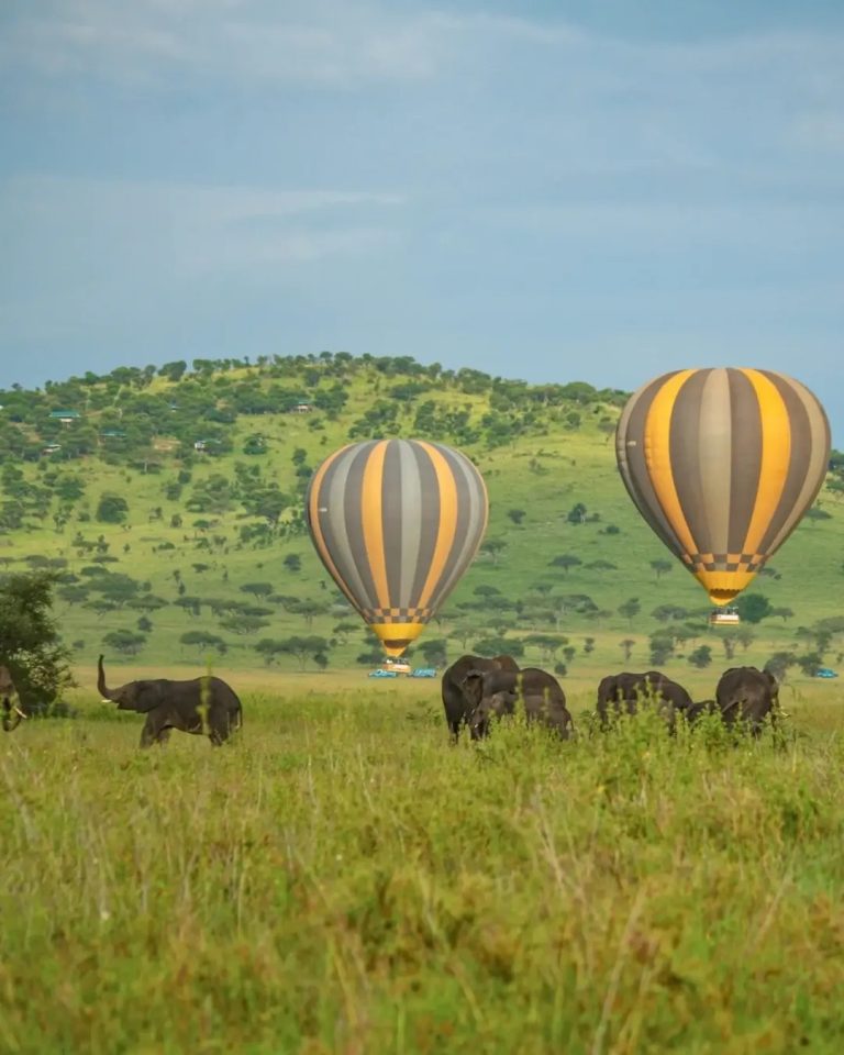 Serengeti Balloon above the Elephants