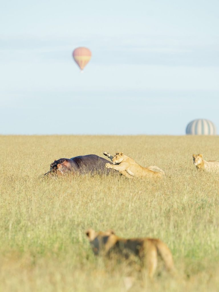 Hot air balloon over the Serengeti on an 11-day transformative safari Tanzania departure — the scale of the landscape from above