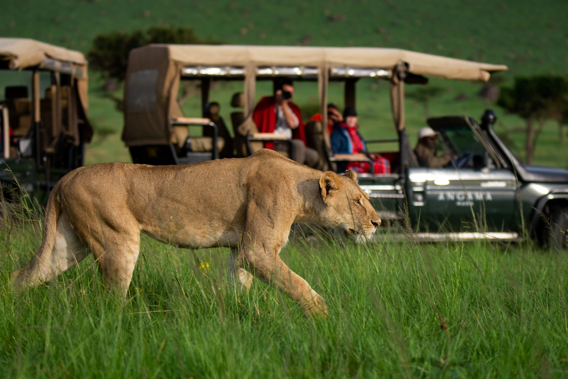 safari with open sided vehicle in Serengeti National Park