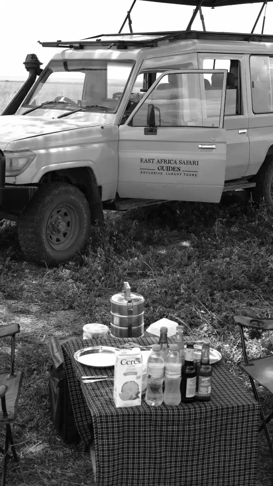 Private 4x4 Safari Vehicle in the middle of Serengeti National Park