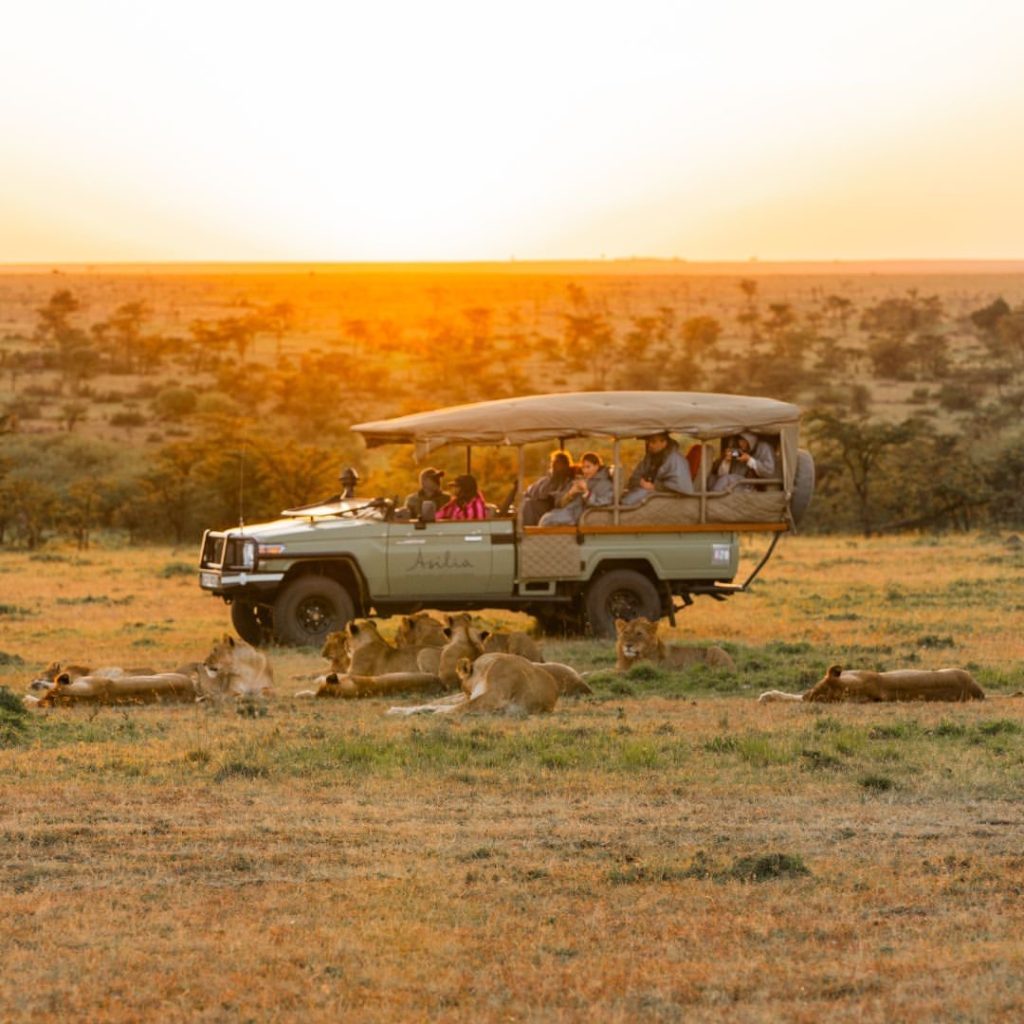 Experienced Tanzania safari guide with guests on a luxury group departure — East Africa Safari Guides transformative journey