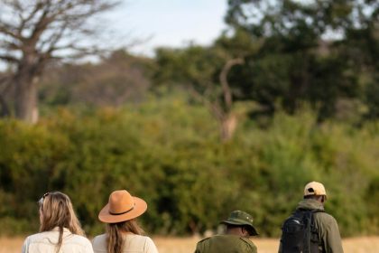 Tanzania safari guide experience — senior guide leading guests on a walking safari with East Africa Safari Guides