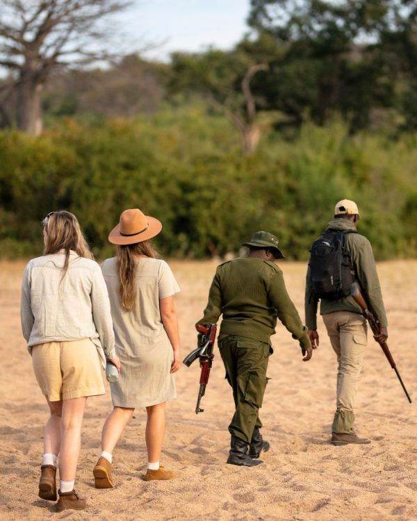 Tanzania safari guide experience — senior guide leading guests on a walking safari with East Africa Safari Guides