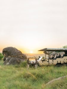 Northern Circuit vs. Southern Circuit: The Honest Guide to Choosing Your Tanzania Safari