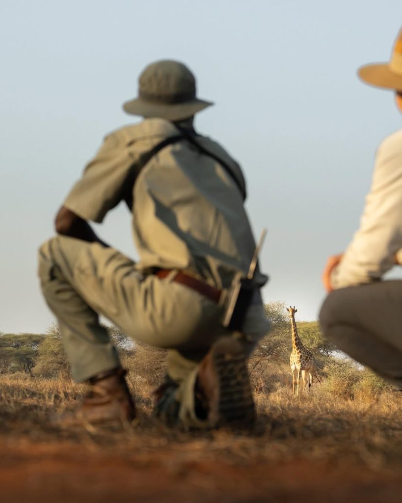 Senior guide leading guests on a Serengeti wellness safari mental reset bush walk in Tarangire National Park Tanzania