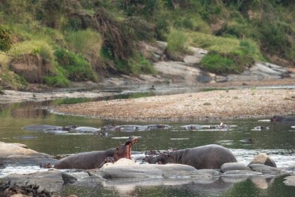 Luxury transformative safari Tanzania — wildlife drinking at the Tarangire River on an East Africa Safari Guides private departure