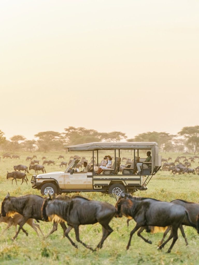 Tanzania northern circuit safari — Serengeti plains at sunrise with wildebeest herd in foreground